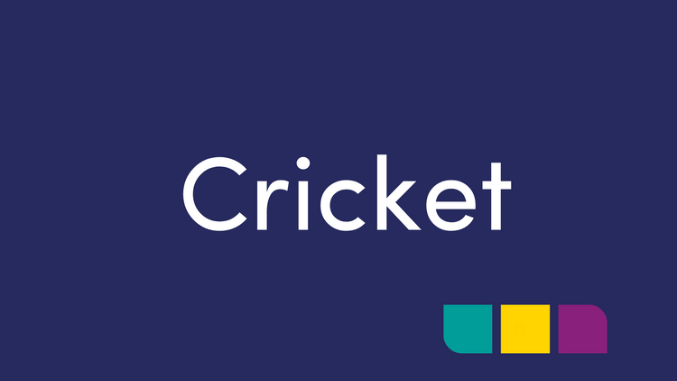 Cricket